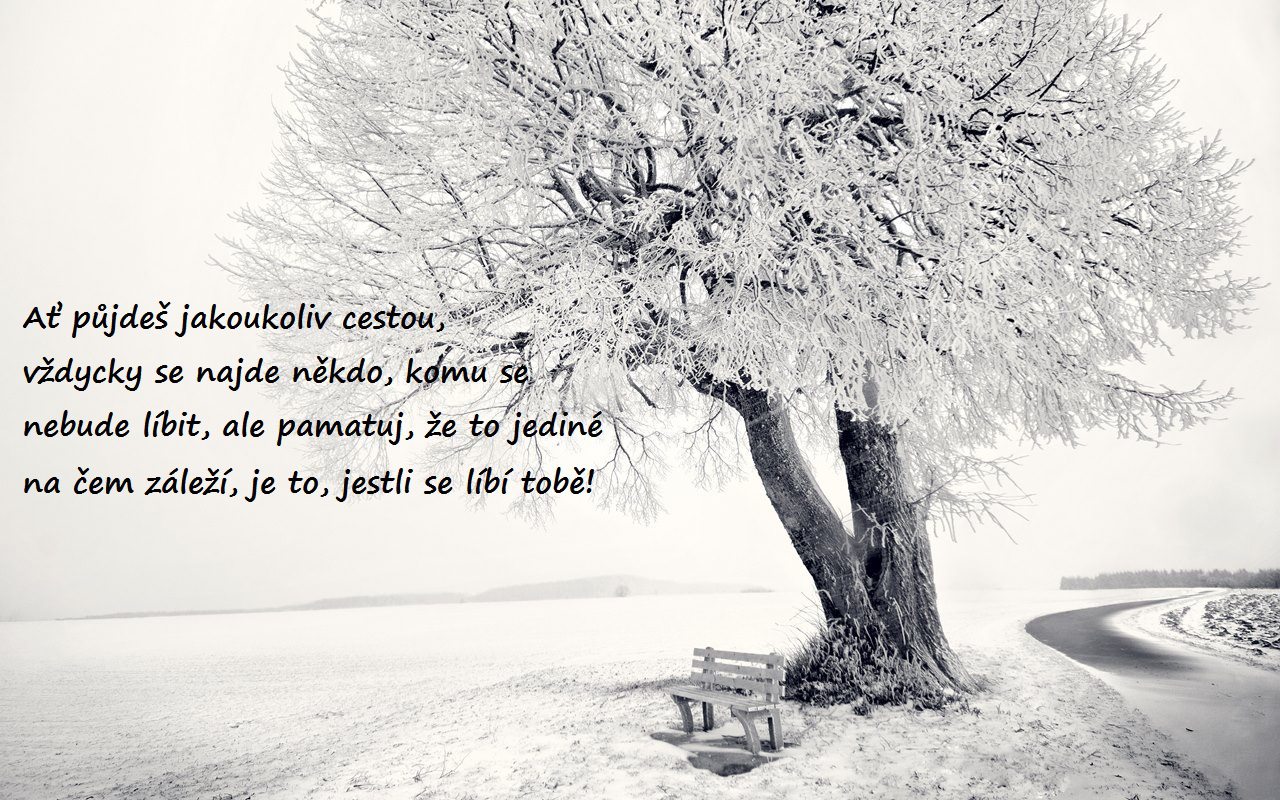 798364 329225423846014 305367111 o